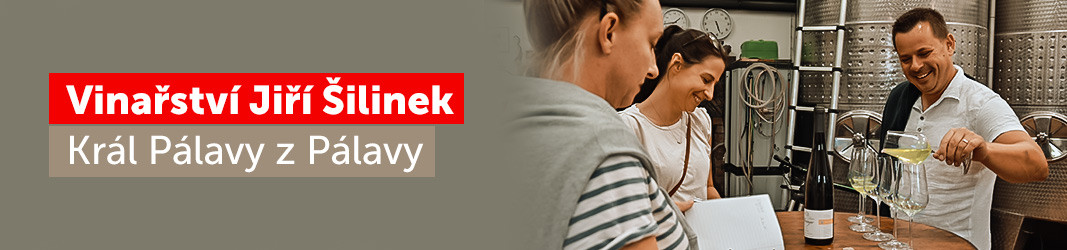 Šilinek Jiří