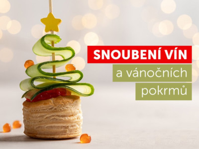 Víno k vánočním pokrmům