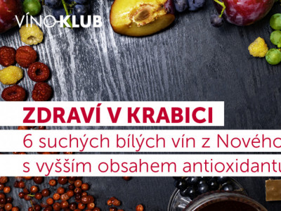 VÍNEM PROTI STÁRNUTÍ