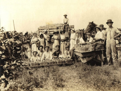 Kalifornie – země sluncem a vínem políbená