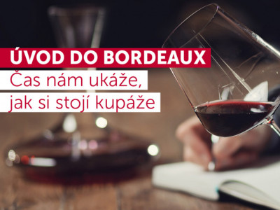 Bordeaux - čas nám ukáže, jak si stojí kupáže