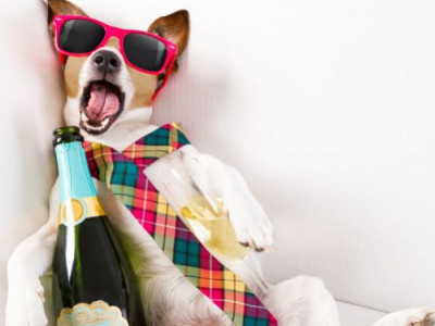 Jak pít alkohol, aby vás nebolela hlava