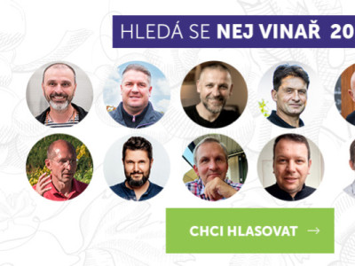 NEJ VINAŘ 2023 - jak hlasovat